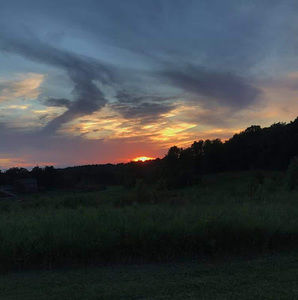 Meet your Posher, Bella